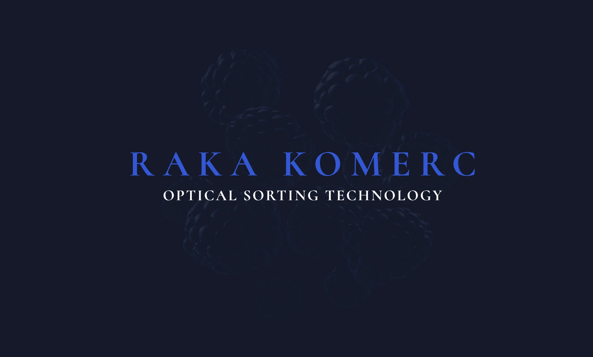 Main showcase image for the Raka Optical Sorting Technology company where I worked